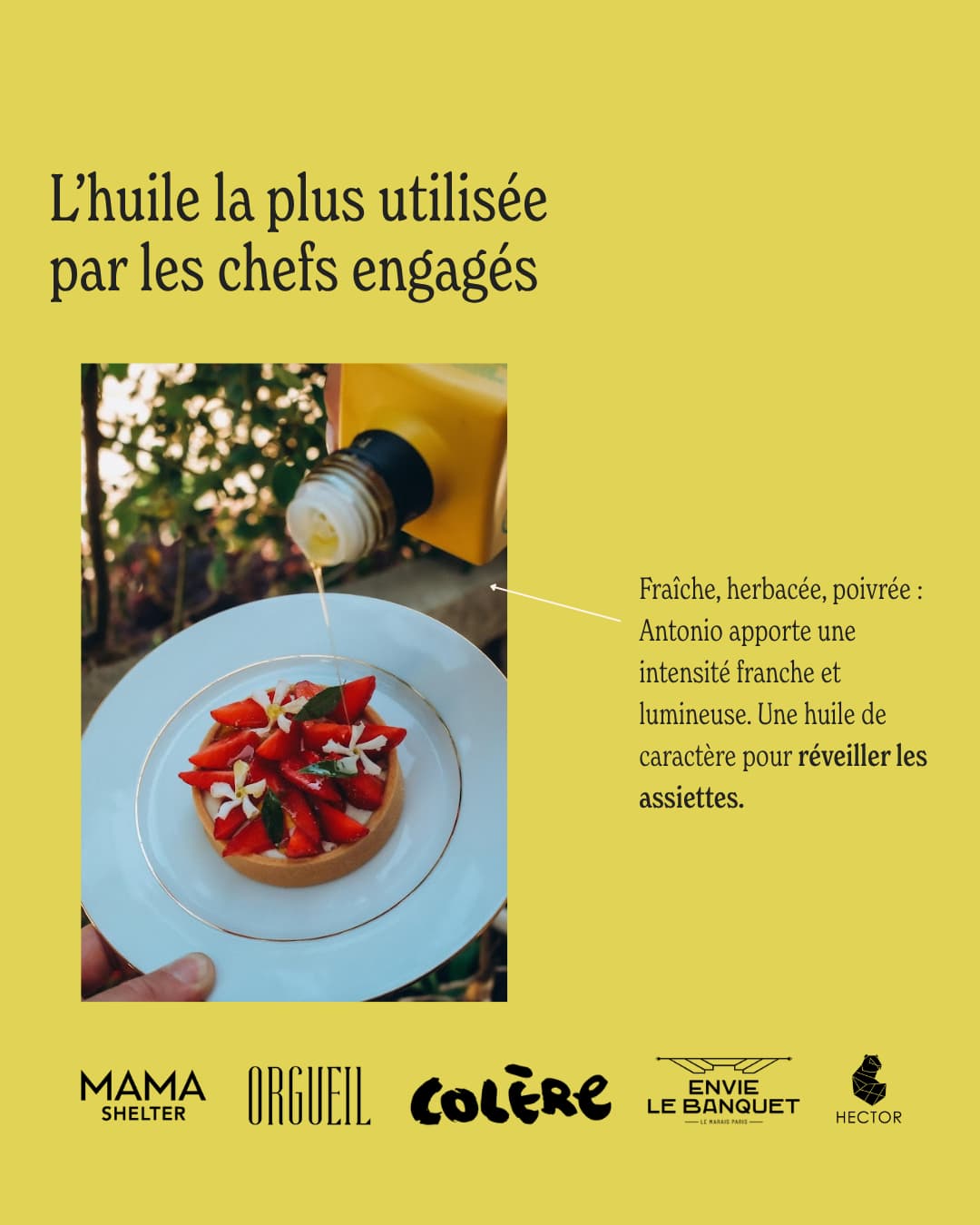 Parrainage d’olivier - Huile d’olive Antonio - 3L