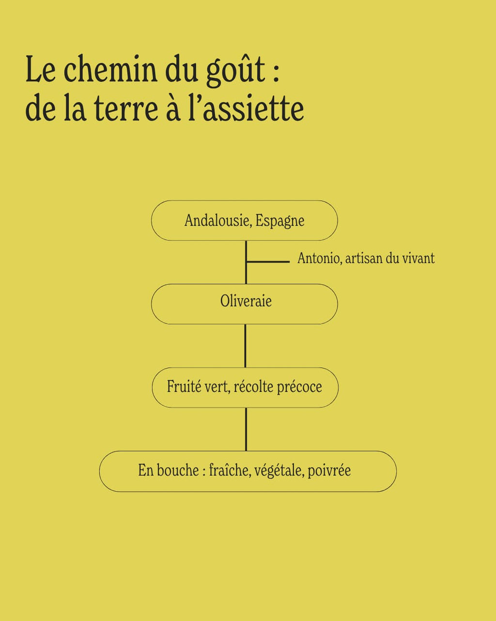 Bouteille - Huile d’olive Antonio - 500ML