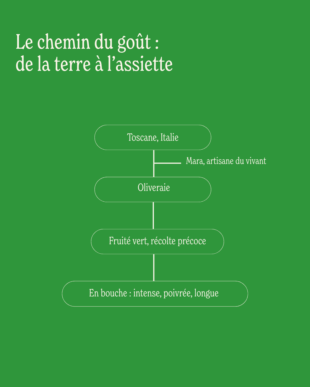 Bouteille - Huile d’olive Mara - 500ML