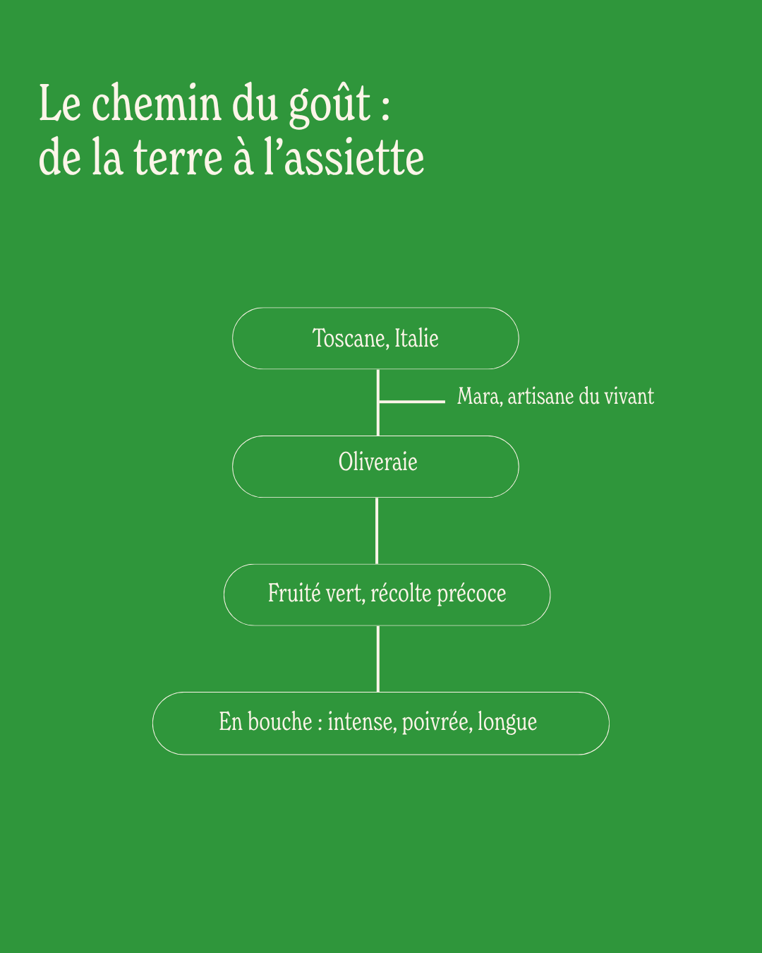 Parrainage d’olivier - Huile d’olive Mara - 3L