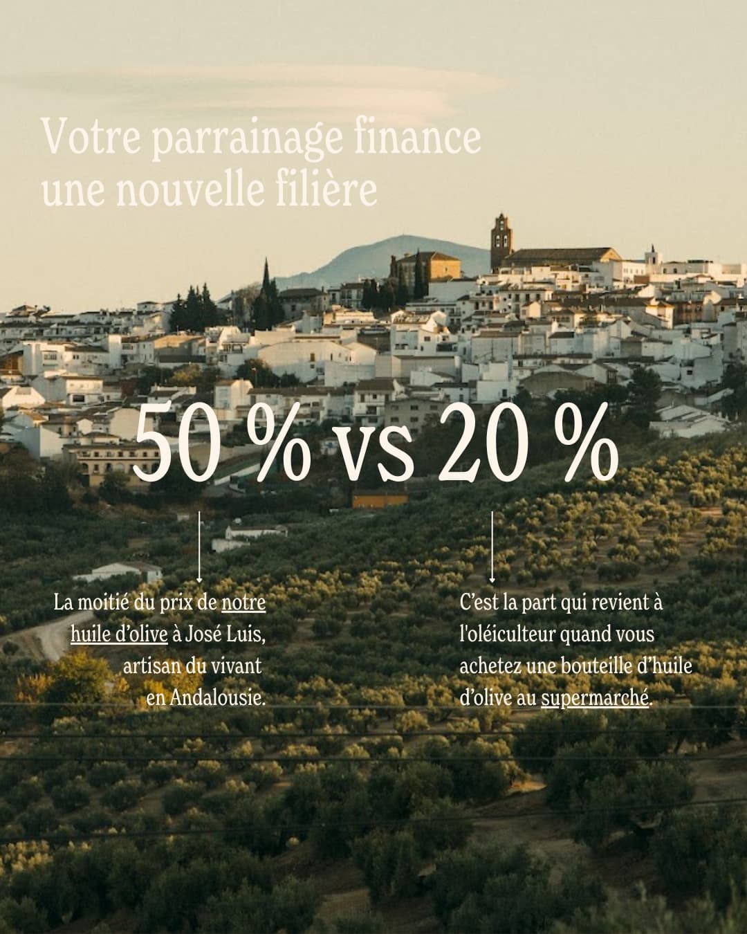 Parrainage d’olivier - Huile d’olive José Luis - 5L