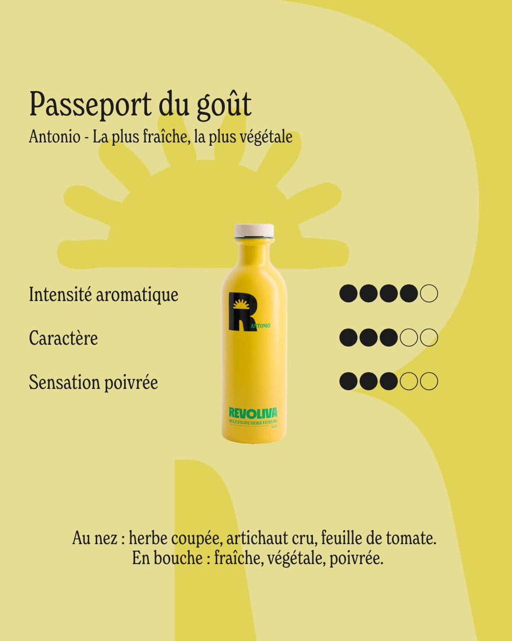 Bouteille - Huile d’olive Antonio - 500ML