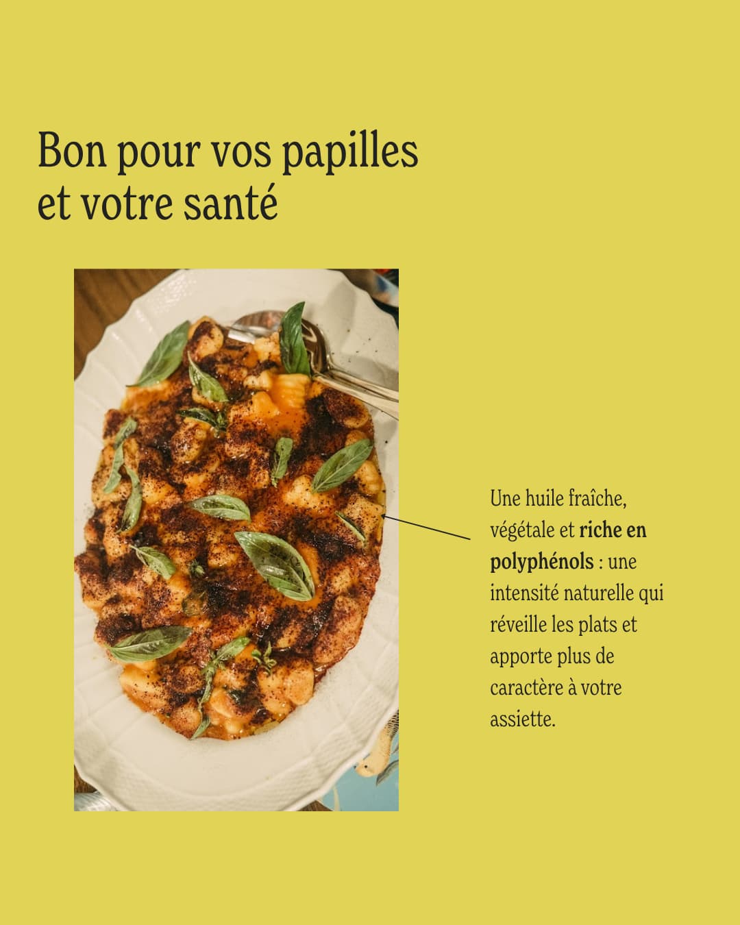 Parrainage d’olivier - Huile d’olive Antonio - 3L