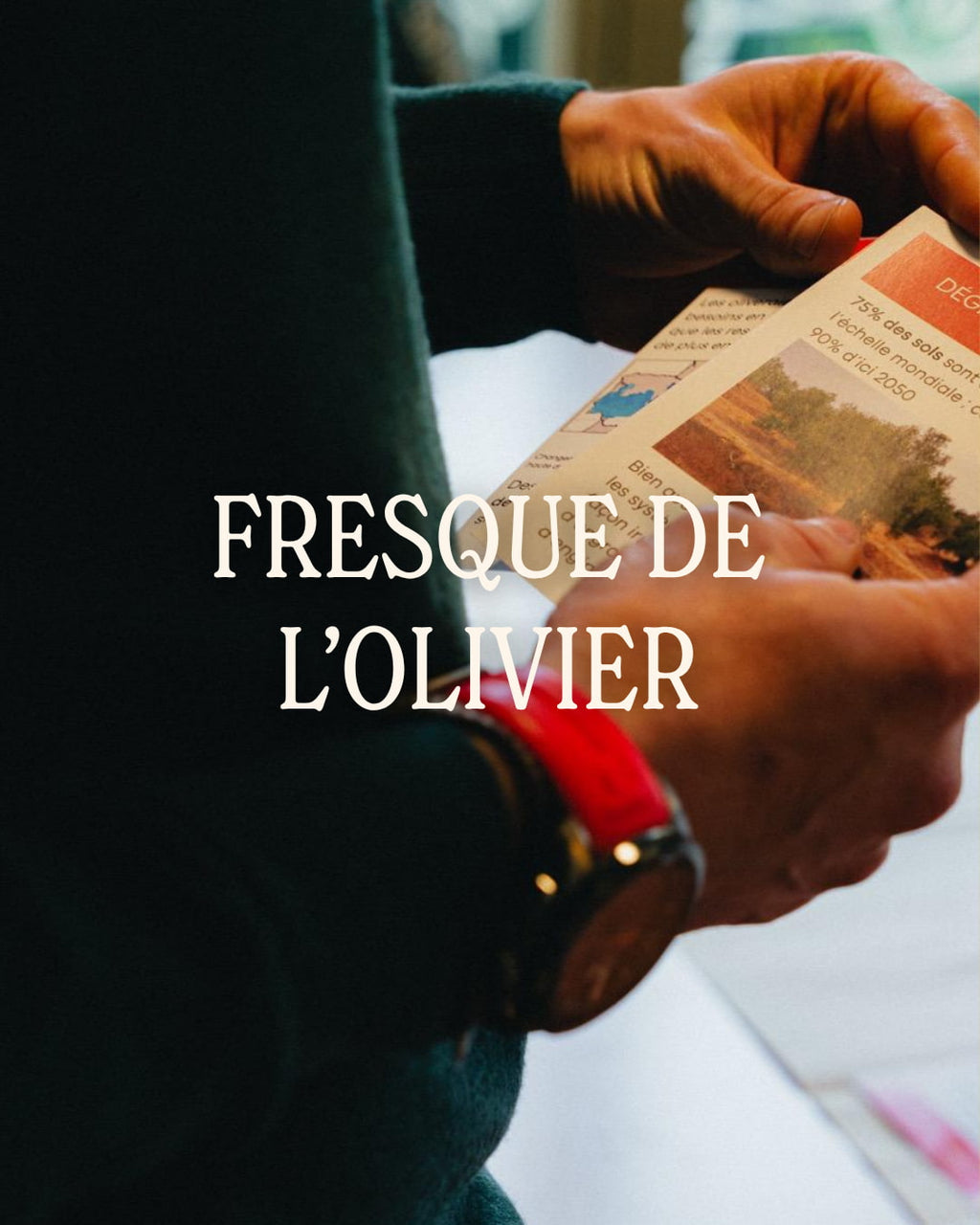 Atelier Fresque de l'olivier Revoliva