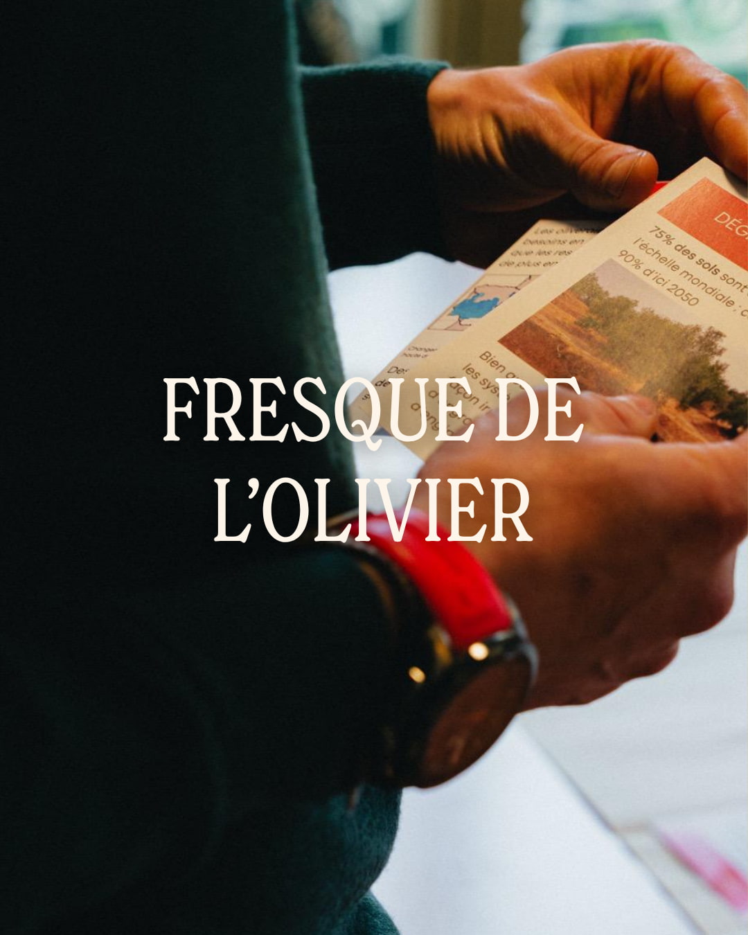Atelier Fresque de l'olivier Revoliva