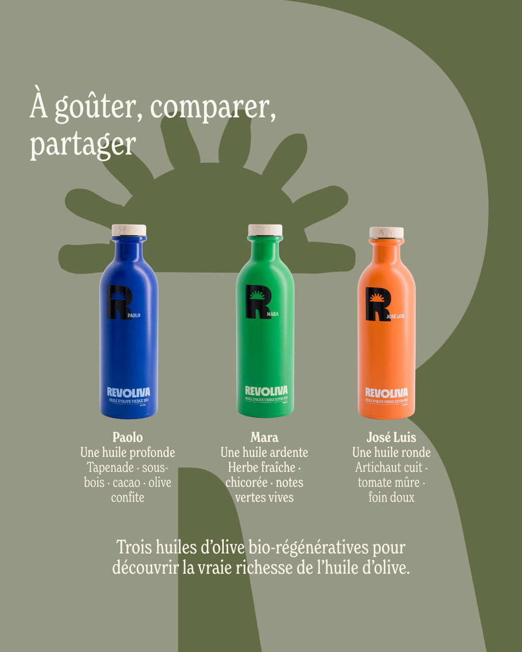 Comparaison des 3 huiles d'olive du coffret