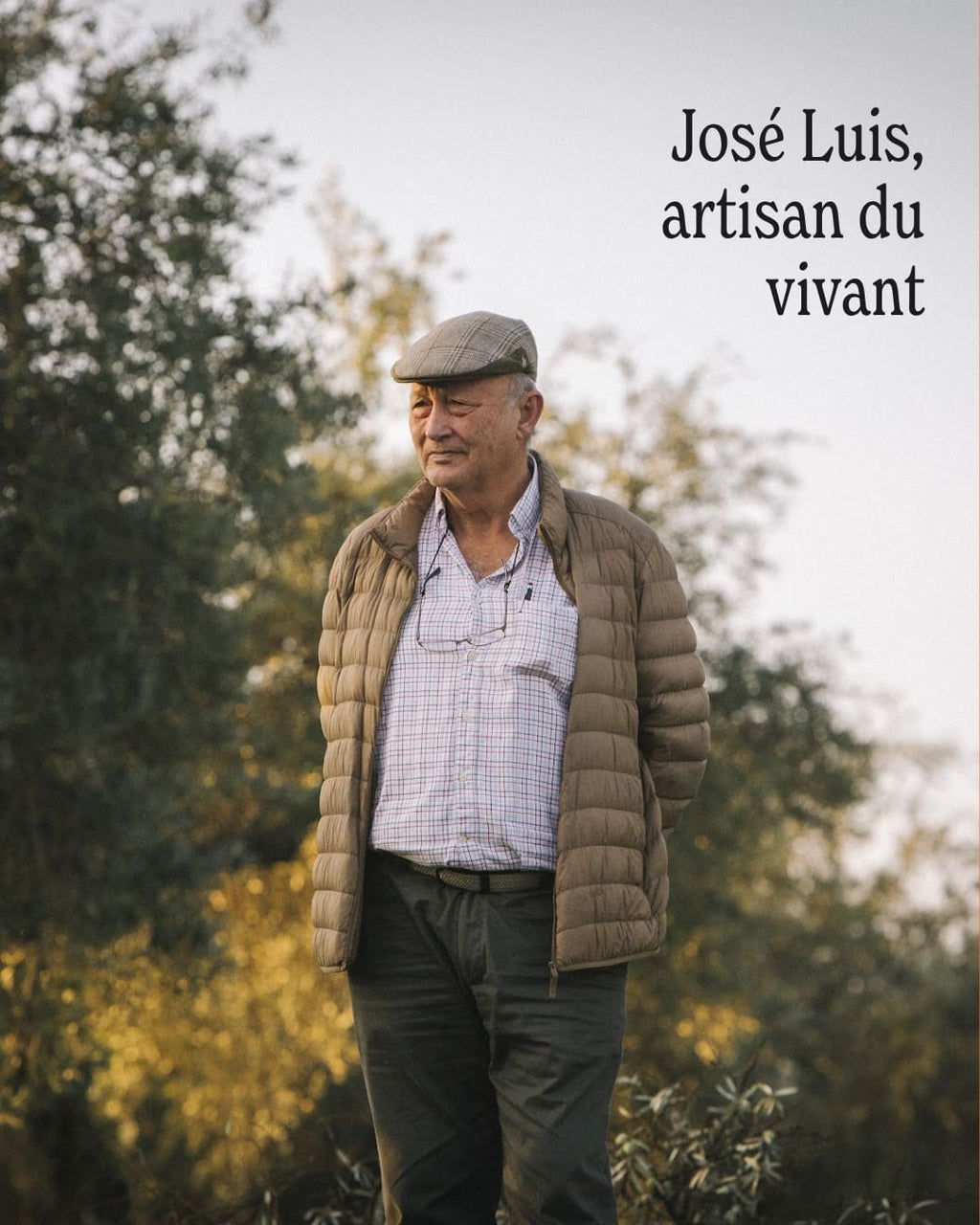 Parrainage d’olivier - Huile d’olive José Luis - 5L