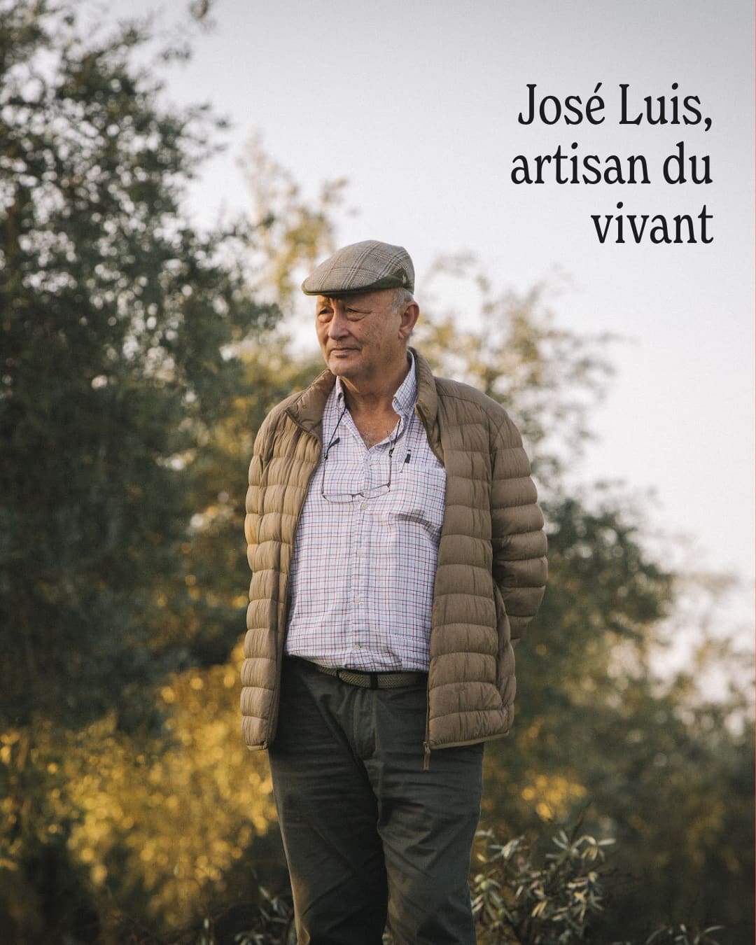 Parrainage d’olivier - Huile d’olive José Luis - 5L