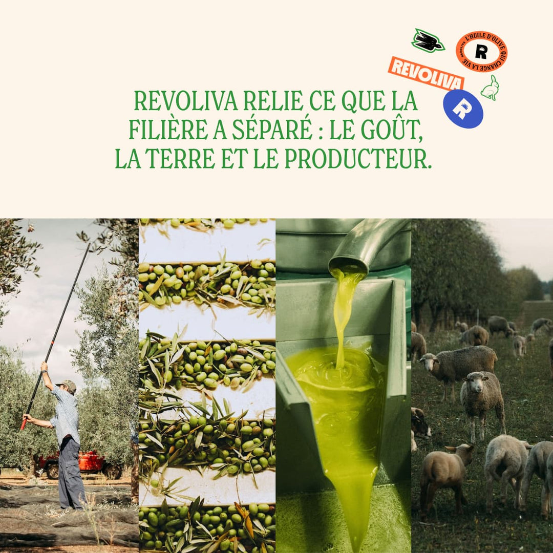 Différence Revoliva
