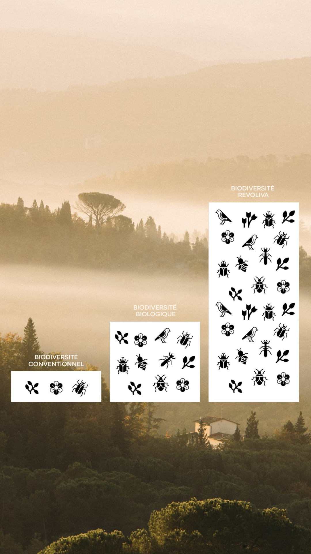 Impact environnemental Revoliva