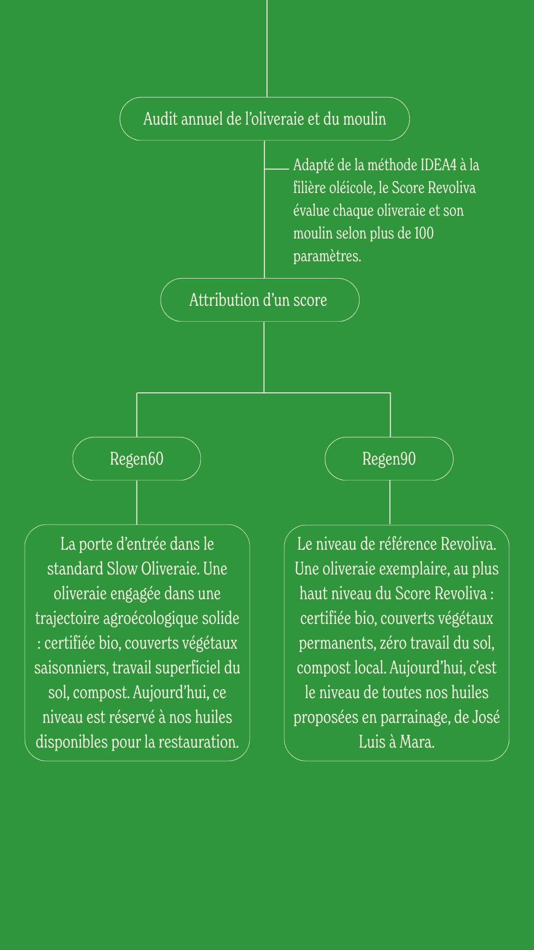 Score Revoliva schéma 